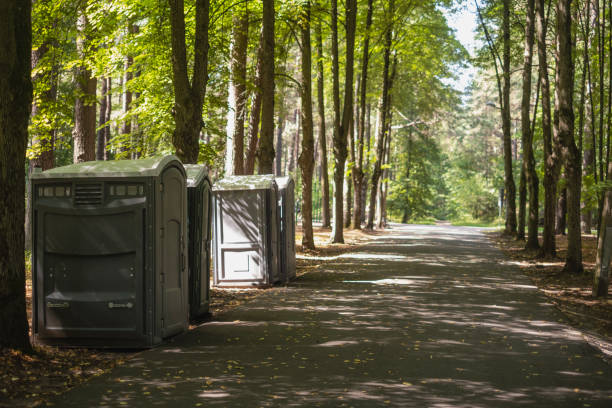 Portable Toilet Options We Offer in Mount Morris, MI