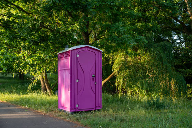 Best High-end porta potty rental  in Mount Morris, MI